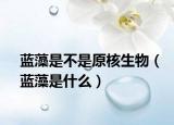 蓝藻是不是原核生物（蓝藻是什么）