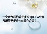 一个大气压约等于多少kpa（1个大气压等于多少kpa简介介绍）