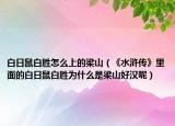 白日鼠白胜怎么上的梁山（《水浒传》里面的白日鼠白胜为什么是梁山好汉呢）
