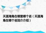 天涯海角在哪里哪个省（天涯海角在哪个省简介介绍）