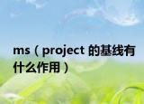 ms（project 的基线有什么作用）