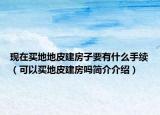 现在买地地皮建房子要有什么手续（可以买地皮建房吗简介介绍）