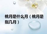 桃月是什么月（桃月是指几月）