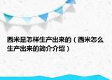 西米是怎样生产出来的（西米怎么生产出来的简介介绍）