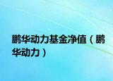 鹏华动力基金净值（鹏华动力）