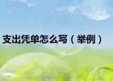 支出凭单怎么写（举例）