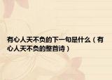 有心人天不负的下一句是什么（有心人天不负的整首诗）