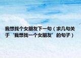我想找个女朋友下一句（求几句关于‘我想找一个女朋友’的句子）