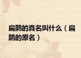扁鹊的真名叫什么（扁鹊的原名）