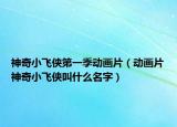 神奇小飞侠第一季动画片（动画片神奇小飞侠叫什么名字）