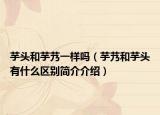 芋头和芋艿一样吗（芋艿和芋头有什么区别简介介绍）