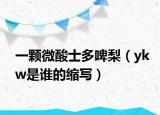 一颗微酸士多啤梨（ykw是谁的缩写）