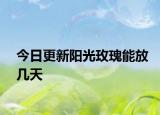 今日更新阳光玫瑰能放几天