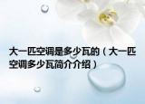 大一匹空调是多少瓦的（大一匹空调多少瓦简介介绍）