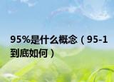 95%是什么概念（95-1到底如何）