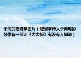 于海的螳螂拳图片（螳螂拳传人于海电影好像有一部叫《大太极》有没有人知道）