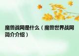 魔兽战网是什么（魔兽世界战网简介介绍）