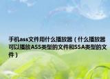 手机ass文件用什么播放器（什么播放器可以播放ASS类型的文件和SSA类型的文件）
