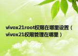 vivox21root权限在哪里设置（vivox21权限管理在哪里）