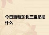 今日更新东北三宝是指什么