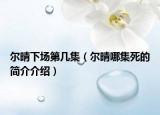 尔晴下场第几集（尔晴哪集死的简介介绍）