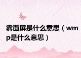 雾面屏是什么意思（wmp是什么意思）