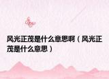 风光正茂是什么意思啊（风光正茂是什么意思）