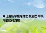 今日更新苹果尾插怎么清理 苹果尾插如何清理