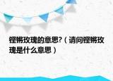 铿锵玫瑰的意思?（请问铿锵玫瑰是什么意思）