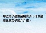 哪些离子是重金属离子（什么是重金属离子简介介绍）