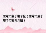 北屯市属于哪个区（北屯市属于哪个市简介介绍）