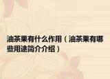 油茶果有什么作用（油茶果有哪些用途简介介绍）