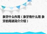 象牙什么作用（象牙有什么用 象牙的用途简介介绍）
