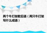 两个牛打架歇后语（两只牛打架写什么成语）