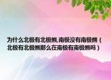 为什么北极有北极熊,南极没有南极熊（北极有北极熊那么在南极有南极熊吗）