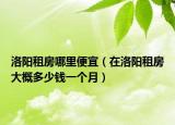 洛阳租房哪里便宜（在洛阳租房大概多少钱一个月）