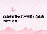 白山市有什么矿产资源（白山市有什么景点）