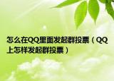 怎么在QQ里面发起群投票（QQ上怎样发起群投票）