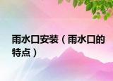 雨水口安装（雨水口的特点）