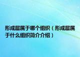 形成层属于哪个组织（形成层属于什么组织简介介绍）
