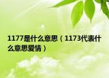 1177是什么意思（1173代表什么意思爱情）