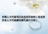 乡镇人大代表可以去北京开会吗（去北京开会人大代表都住哪儿简介介绍）