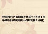常绿硬叶林与常绿阔叶林有什么区别（常绿阔叶林和常绿硬叶林的区别简介介绍）