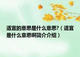 适宜的意思是什么意思?（适宜是什么意思啊简介介绍）