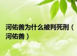 河佑善为什么被判死刑（河佑善）