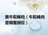 黄牛驼峰肉（牛驼峰肉是哪里部位）