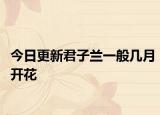 今日更新君子兰一般几月开花