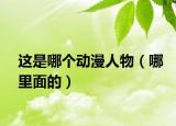 这是哪个动漫人物（哪里面的）