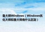 鲁大师Windows（Windows优化大师和鲁大师有什么区别）