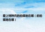 爱上特种兵的拍摄地在哪（的拍摄地在哪）